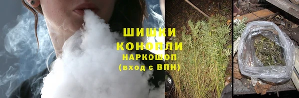 крисы Корсаков