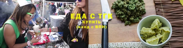 крисы Корсаков