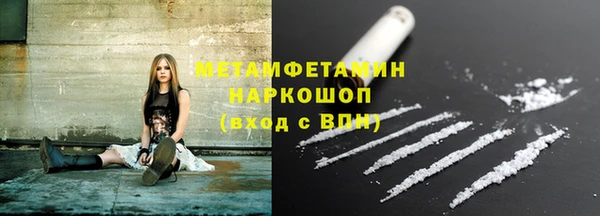 крисы Корсаков