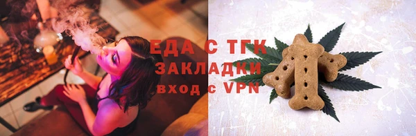 крисы Корсаков