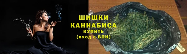 крисы Корсаков