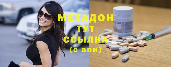 крисы Корсаков
