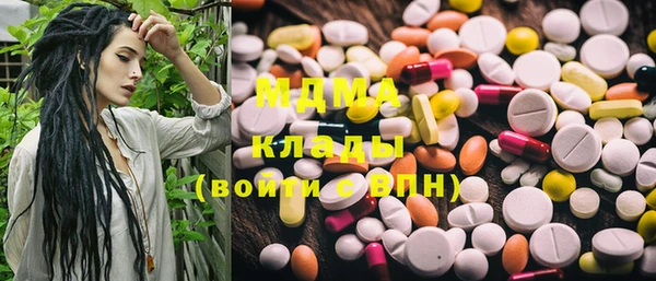 крисы Корсаков