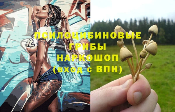 mix Костерёво