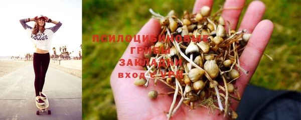прущий лед Краснослободск